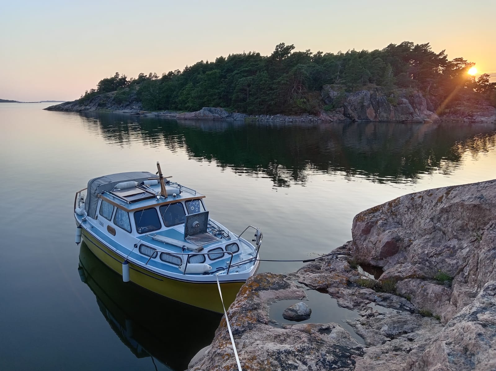 Albatross 26